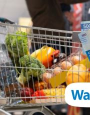 Foto descriptiva de: Martes de Frescura Walmart 24 de marzo: Ofertas imperdibles en frutas y verduras hoy