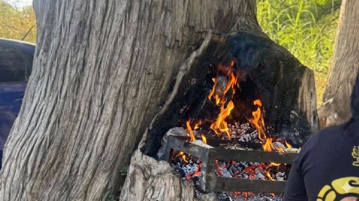 Hombres 'incendian' árbol para hacer carne asada en Nuevo León; estas podrían ser las consecuencias legales