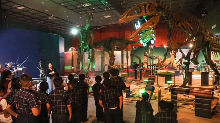 Vacaciones de Semana Santa: los mejores museos para visitar en Nuevo Laredo