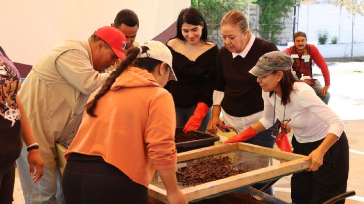 Culmina con éxito Taller de Lombricomposta organizado por INMUJER y Gestión Ambiental