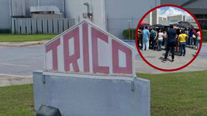 TRICO cierra operaciones en Matamoros por reestructuración global; Tamaulipas descarta crisis industrial