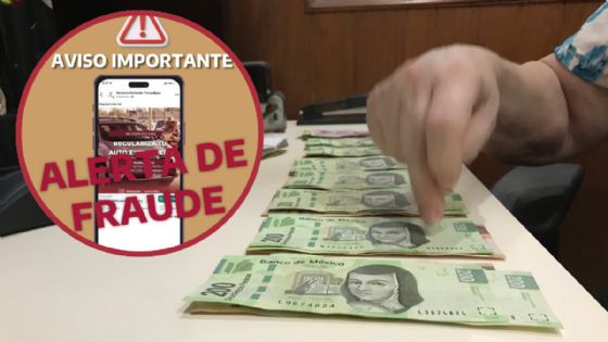 Tamaulipas alerta por estafas en trámites de autos; piden denunciar páginas falsas