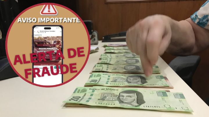 Detectan fraude con supuestas gestorías vehiculares en redes sociales; advierten sobre páginas falsas