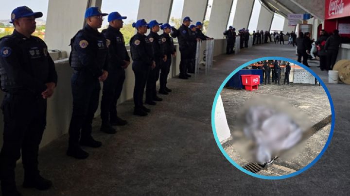 Muere aficionado al caer de un palco en reinaguración del Estadio Banorte; previo al México vs Portugal