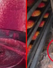 Foto descriptiva de: Clausuran fábrica ilegal de dulces por insalubridad y plagas; las condiciones eran deplorables