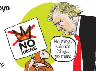 El Cartón de Adrián: Apoyo