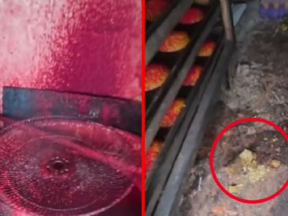 Clausuran fábrica ilegal de dulces por insalubridad y plagas; las condiciones eran deplorables