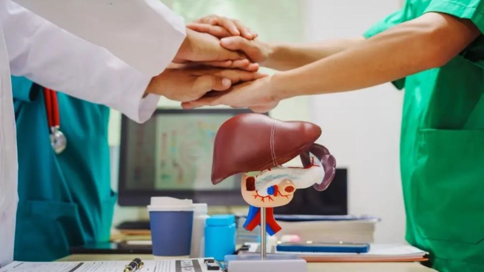 El trasplante de riñón encabeza la lista con 32 procedimientos reportados