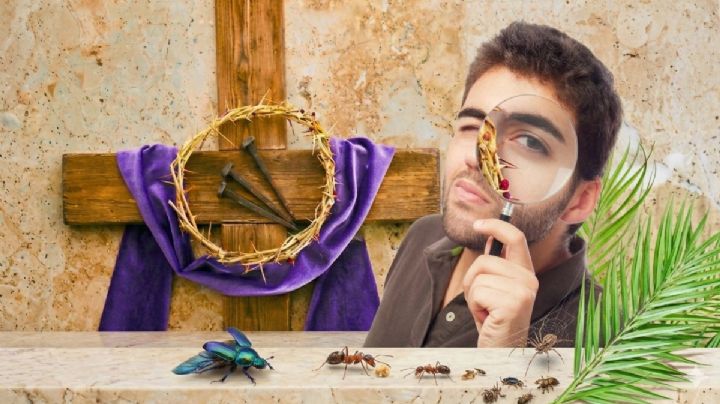 Este platillo 'peculiar' de Semana Santa se sirve en mercados y restaurantes gourmet; ¡incluye insectos!