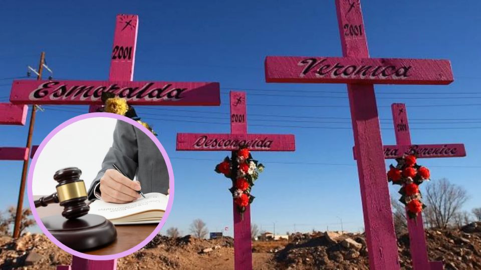 Cada día se registran en promedio dos feminicidios en México.