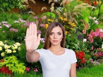 Esta es la planta que nunca deberías tener en tu casa, según expertos