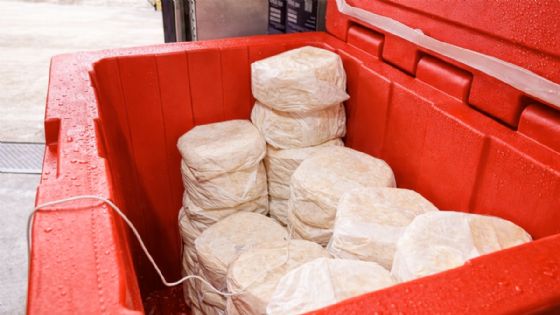 ¿Las tortillas en hielera son más seguras para comer?; una tradición que ahora está bajo la lupa