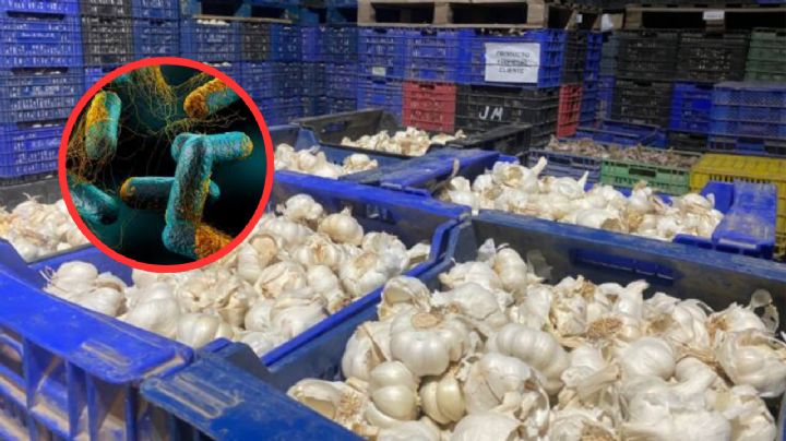 Retiran ajo pelado del mercado por contaminación que podría causar enfermedad mortal