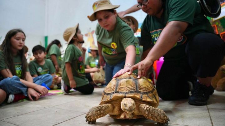 Abren convocatoria para ZooKids en el Zoológico de Nuevo Laredo; así puedes inscribir a tus hijos