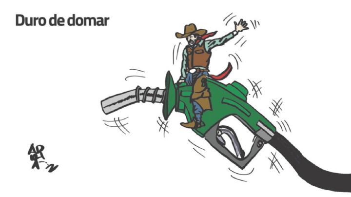 El Cartón de Adrián: Duro de domar