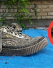 Foto descriptiva de: Hallan restos óseos cerca de antigua tienda Gigante Reforma en Nuevo Laredo; estaban en un registro