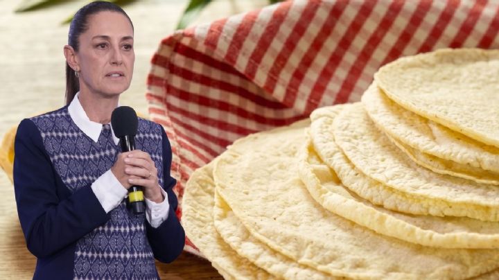 Tortilla en México: este es el precio real por kilo, según datos de Profeco