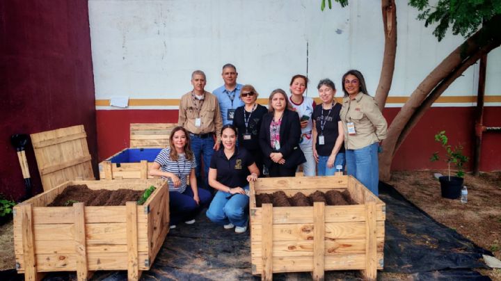 Instalan huerto urbano en el SAT Nuevo Laredo