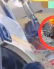 Foto descriptiva de: Conductor queda atrapado y muere quemado vivo tras choque de camiones; su pierna estaba atorada