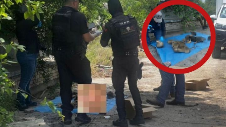 Identifican restos óseos encontrados en antigua tienda Gigante Reforma; familiares lo reclaman