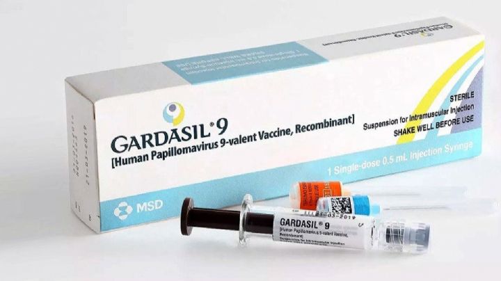 Alerta Cofepris por vacunas falsas contra VPH: así puedes identificar lotes que no son genuinos