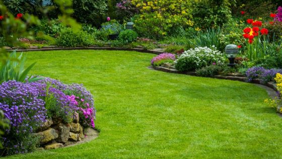 Distrito 1 de Laredo lanza concurso vecinal de jardines de primavera