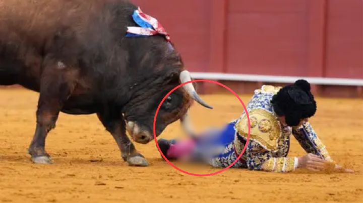 MOMENTO EXACTO en que el torero Morante de la Puebla es brutalmente corneado; se encuentra muy grave