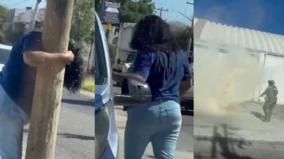 Mujer sufre brutal ataque de enjambre de abejas; sufrió cerca de 200 picaduras | VIDEO