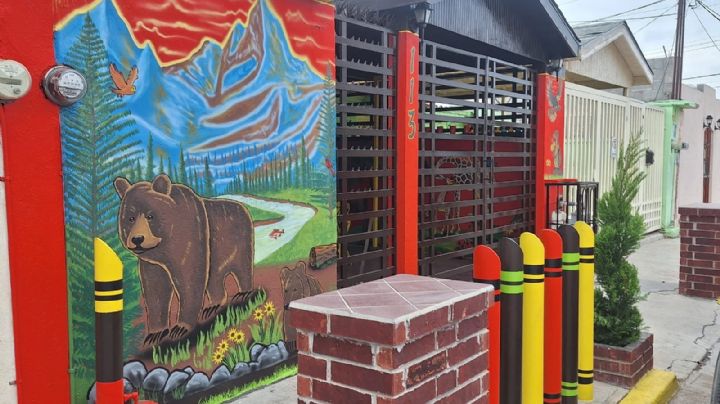 Doña Silvia invierte en árboles y no se rinde pese a robos; crea oasis urbano en plena colonia Infonavit