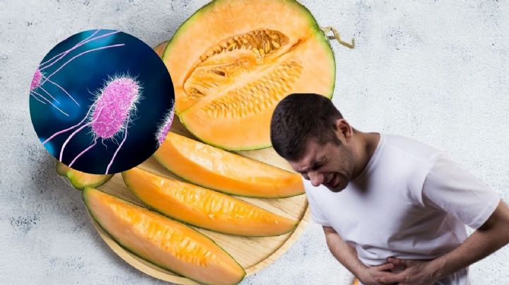 ¡Alerta máxima!; retiran miles de melones contaminados con salmonella; así puedes identificar si tienes uno en tu cocina
