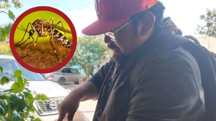 Emiten alerta por estos objetos en casas en Nuevo Laredo; podrían tener mosquitos del dengue y zika