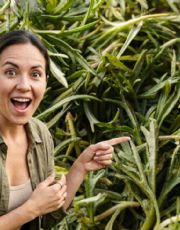 Foto descriptiva de: Quelites: Esta es la forma correcta de consumirlos para aprovechar sus beneficios