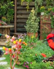 Foto descriptiva de: ¿Cómo atraer pájaros a tu jardín urbano?; la guía definitiva para llenar de vida tu edén en casa