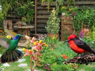 ¿Cómo atraer pájaros a tu jardín urbano?; la guía definitiva para llenar de vida tu edén en casa