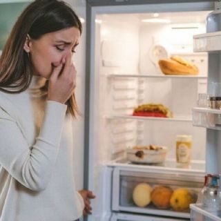 Esto puedes poner en tu refrigerador para eliminar el olor a cebolla y malos aromas
