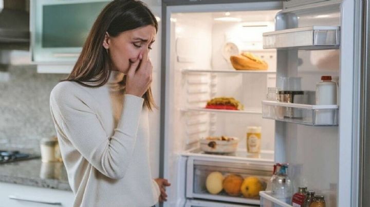 Esto puedes poner en tu refrigerador para eliminar el olor a cebolla y malos aromas, según expertos