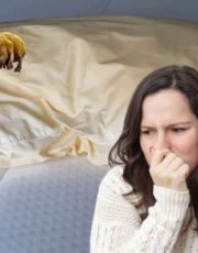 Foto descriptiva de: Manchas en la almohada: así puedes lavarla en casa para eliminar el color amarillo y ácaros