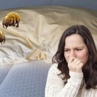 Manchas en la almohada: así puedes lavarla en casa para eliminar el color amarillo y ácaros