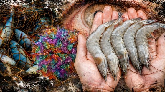 Nodavirus, el microorganismo del mar que podría dejarte ciego por comer mariscos crudos