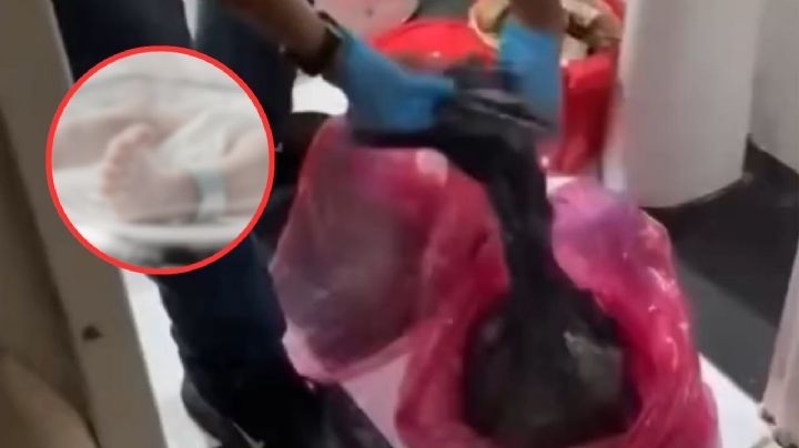 Macabro hallazgo en clínica: fetos humanos eran desechados en bolsas; algunos fueron desmembrados | VIDEO