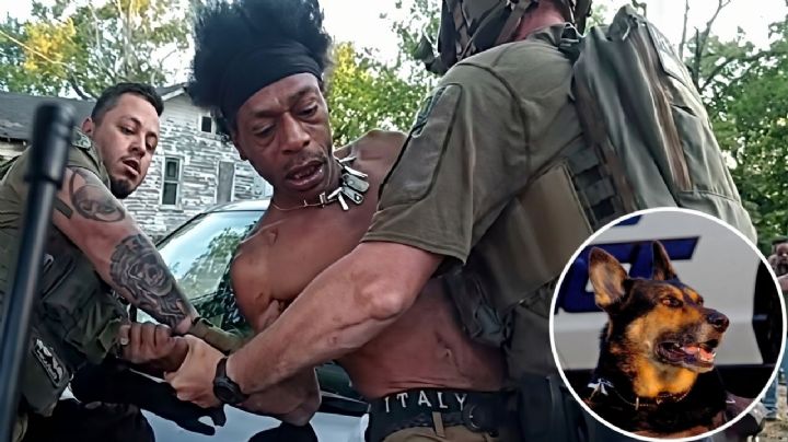 Hombre en estado de ebriedad se resiste al arresto y muerde en el cuello a perro policía | VIDEO
