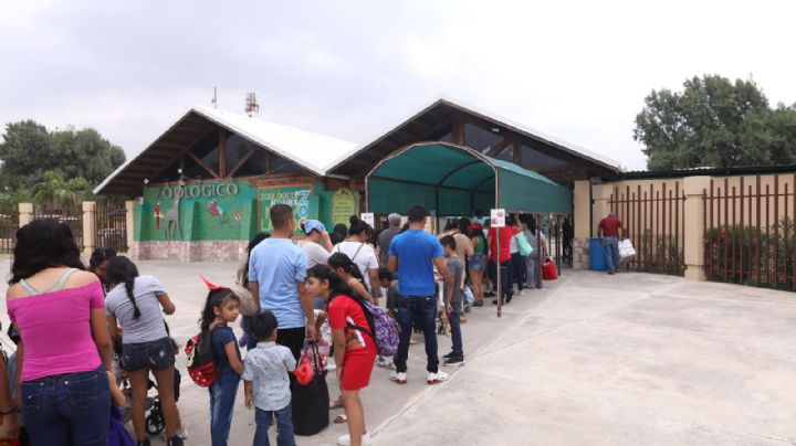 Zoológico, Acuario y la alberca Camécuaro estarán abiertos gratuitamente al público el 30 de abril