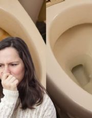Foto descriptiva de: Así puedes quitar el sarro de la taza del baño con ingredientes que ya tienes en casa