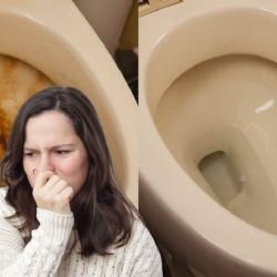Adiós a las manchas de sarro y malos olores en el baño: usa estas mezclas para que tu inodoro se vea como nuevo