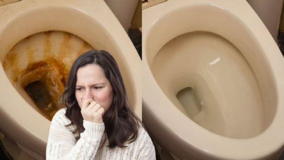 Así puedes quitar el sarro de la taza del baño con ingredientes que ya tienes en casa