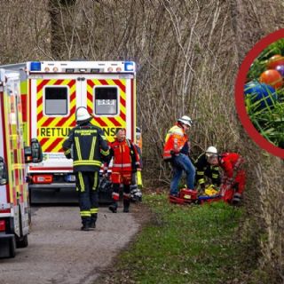 Pascua trágica: árbol cae sobre madres y mujeres embarazadas que recogían huevos; hay tres muertas