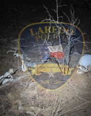 Foto descriptiva de: Hallan osamenta humana en el Parque de Negocios Pan American Laredo; llevaba dinero mexicano