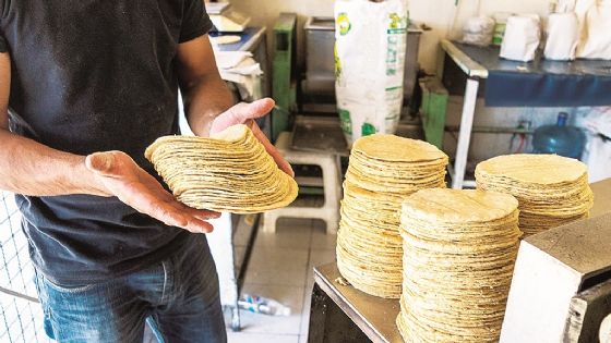 Precio de la tortilla se mantendrá en Nuevo Laredo; ¿cuánto cuesta el kilo en la ciudad?