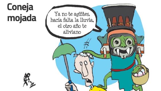 El Cartón de Adrián: Coneja mojada