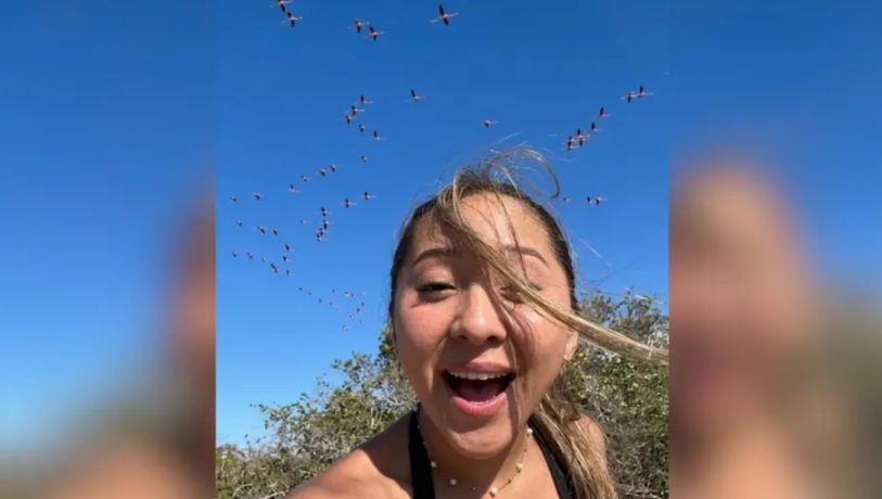 ¿Quién es Elisa la Yuca, influencer que fue criticada por espantar a una parvada de flamencos?